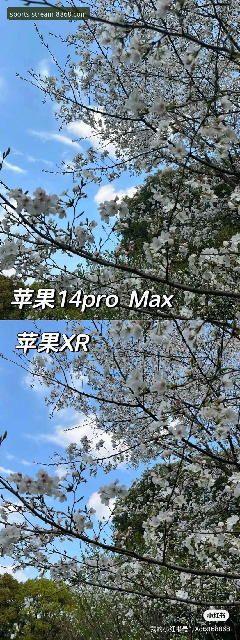 8868体育直播平台 揭秘8868体育直播平台背后的观赛体验升级真相